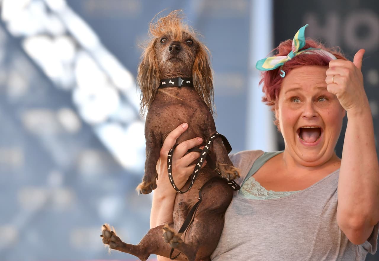 Su dueña, Heather Wilson, no tiene la menor duda de Himisaboo es un triunfador, aunque el sábado no se llevó el trofeo ni los premios.
