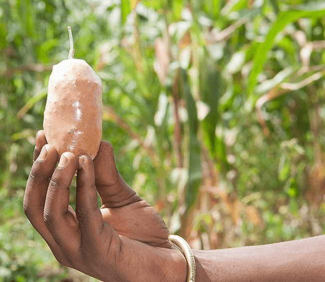 Con materiales baratos y de fácil acceso es posible fabricar la herramienta necesaria para asustar los paquidermos sin causarles ningún daño.