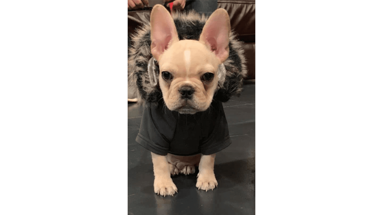 "Mi hermoso bebe Bentley".