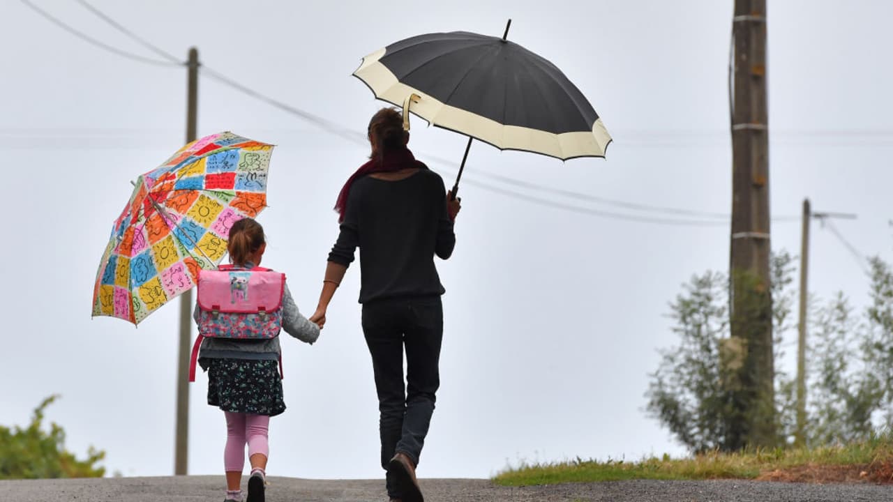 Mejora tendencia de contagios del coronavirus, pero hay preocupación por aumento de casos salud mental