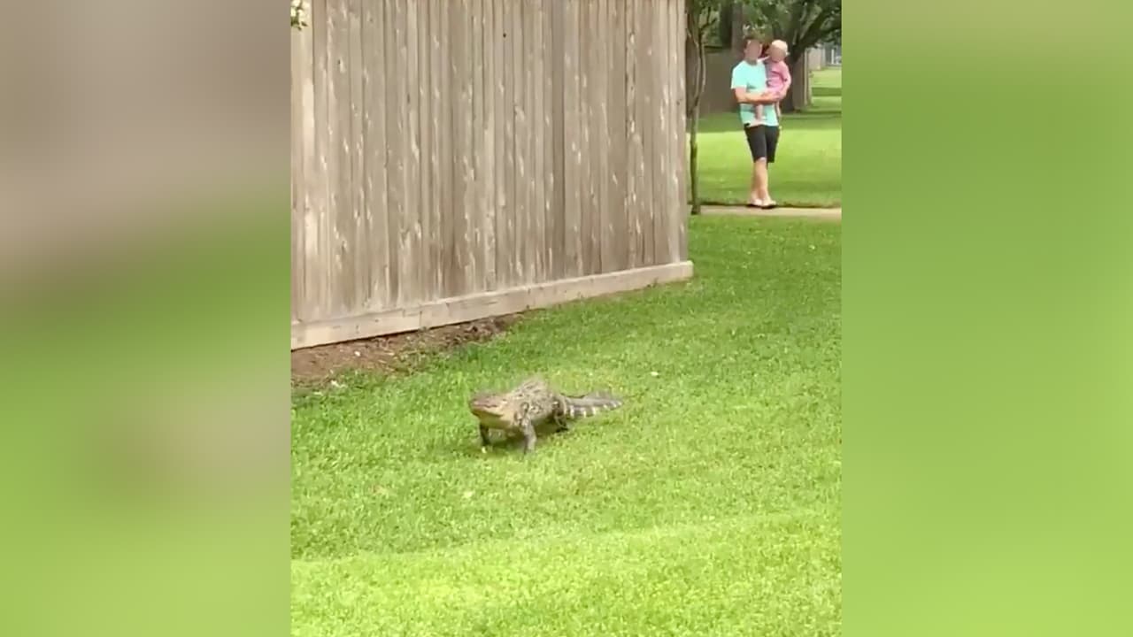 Ella vivió por 17 años en la colonia, pero tuvo que mudarse después de que su casa se vio afectada por las inundaciones tras el paso de Harvey.