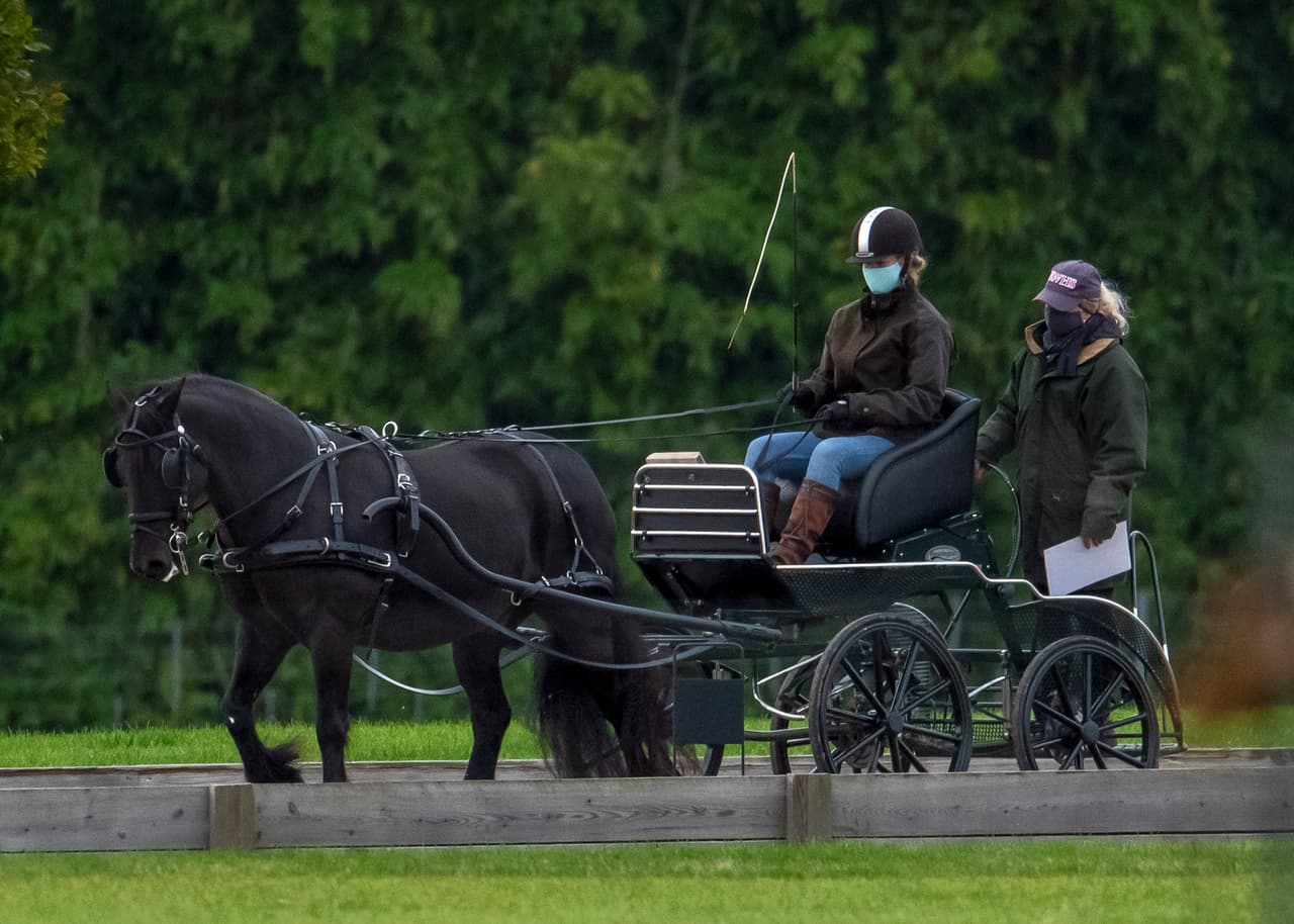 El aprecio entre ambos también estaría basado en el gran amor de ambos por los caballos y la conducción de carruajes.