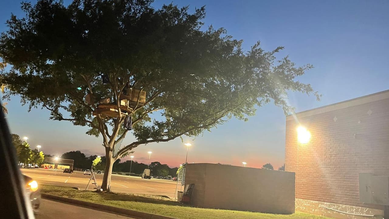 "Al rato como se está poniendo tan caro vamos a ser todos, una muy buena idea, bendiciones", indica una joven.