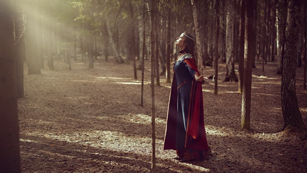 <h3 class="cms-H3-H3">Celtas </h3>
<br>En la cultura celta, los árboles son los seres vivos más importantes, por eso no es de extrañarse que tengan su propio árbol de la vida. 
<br>
<br> 
<br>
<br>