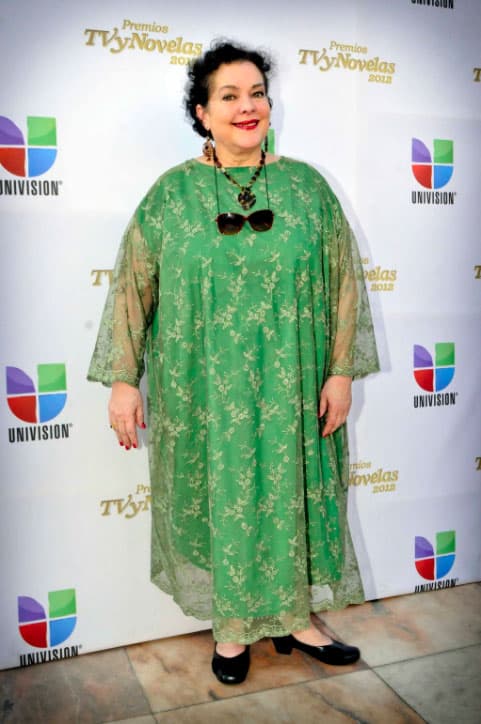 Gracias a este personaje se ganó un 
<i>Premio TVyNovela</i> en la terna 'Mejor Actriz Secundaria'.