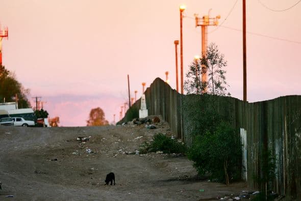 La electrocutación es una de los procesos con que más sufren los perros, puesto que consiste en mojar al perro para luego descargar electricidad en su cuerpo durante 30 o 40 segundos.