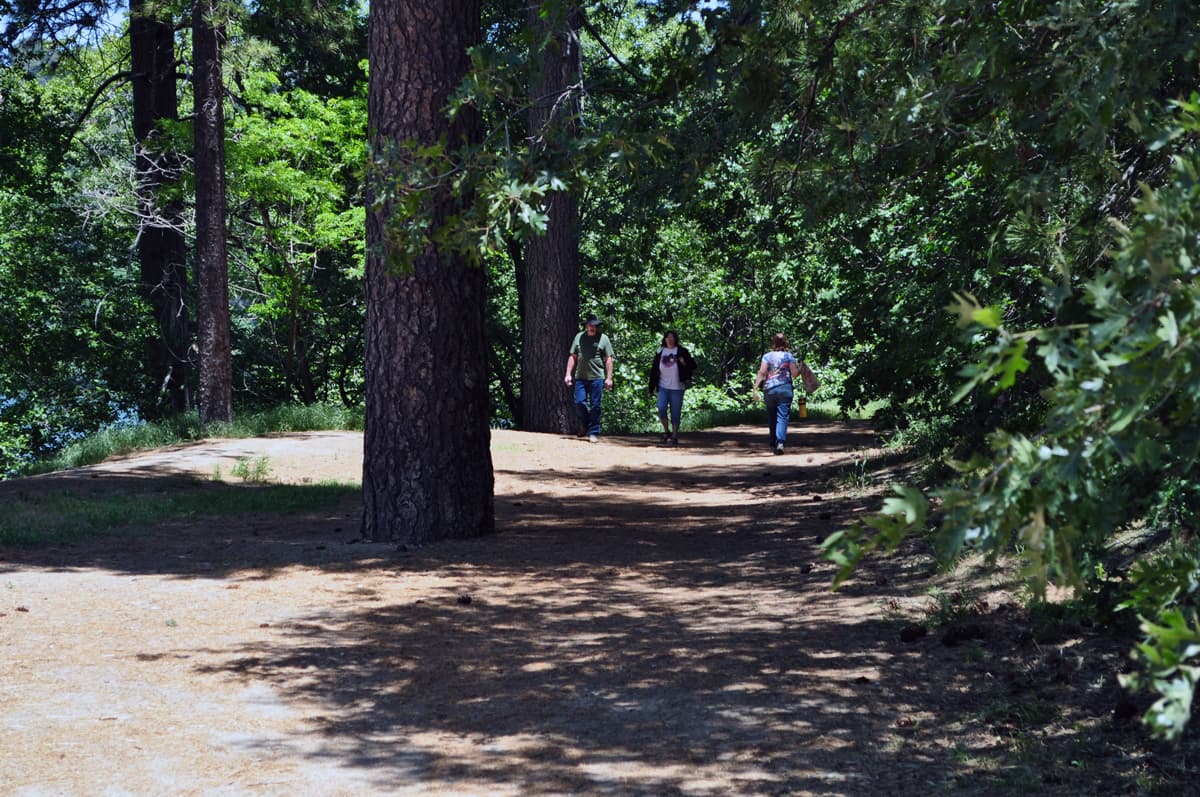 Pero también otros senderos naturales cercanos pueden llevarte hasta el pico de diversas montañas para contemplar hermosos paisajes.