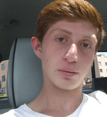 La Fiscalía mexiquense ha indicado que el actor, y dos sujetos que lo acompañaban (y que hoy se sabe eran personas que "cuidaban" a Ocaña por instrucción de su padre), "en días recientes habían estado con él consumiendo alcohol" y que el artista sacó un arma de la guantera tras rehusarse a detenerse ante la orden de la policía mientras circulaban en el auto.
<br>