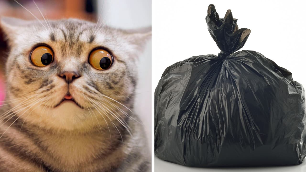 ¿Zapatos de bolsa de basura? Dolce & Gabbana presenta nuevo y polémico diseño: "Son horribles"