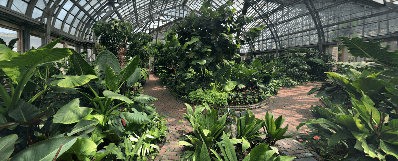 Los jardines interiores tienen 2 acres de capacidad. Garfield Park Conservatory en Chicago, Illinois es uno de los conservatorios más grandes y más impresionantes de la nación.