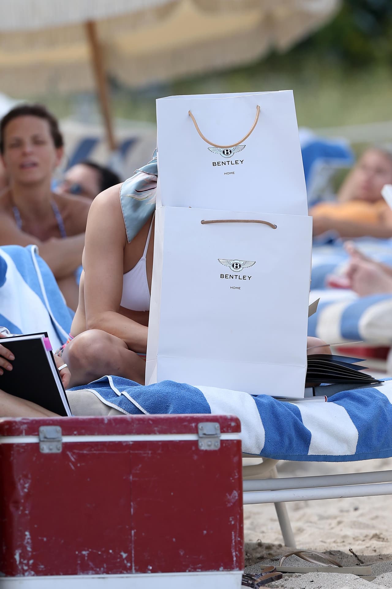 ¡Y las apiló para que obstruyeran la vista del fotógrafo!