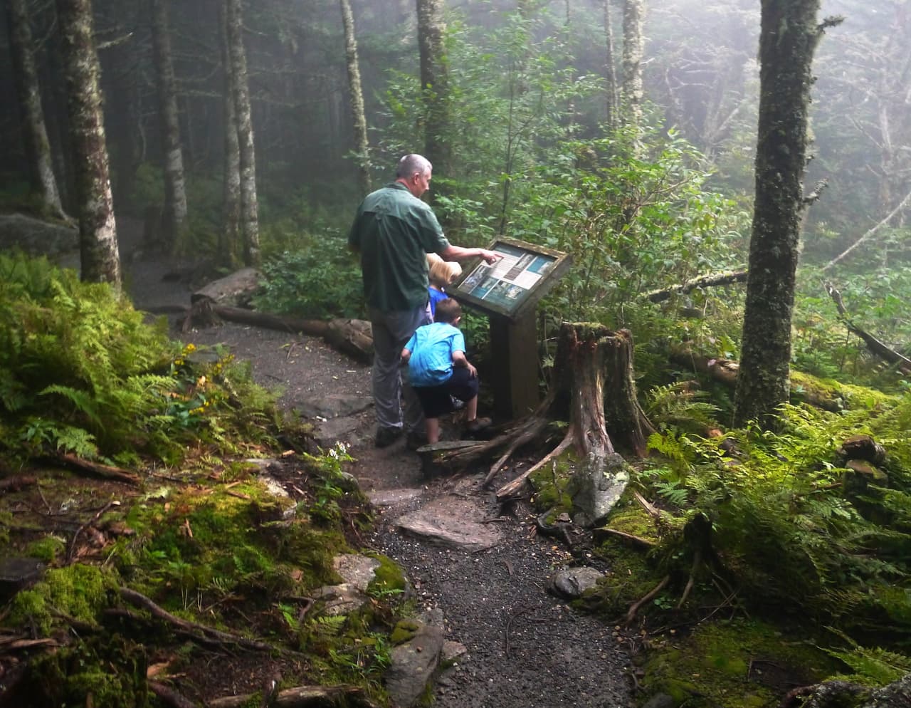 Los sencillos senderos en la cima te permiten explorar el bosque de abetos de Fraser.