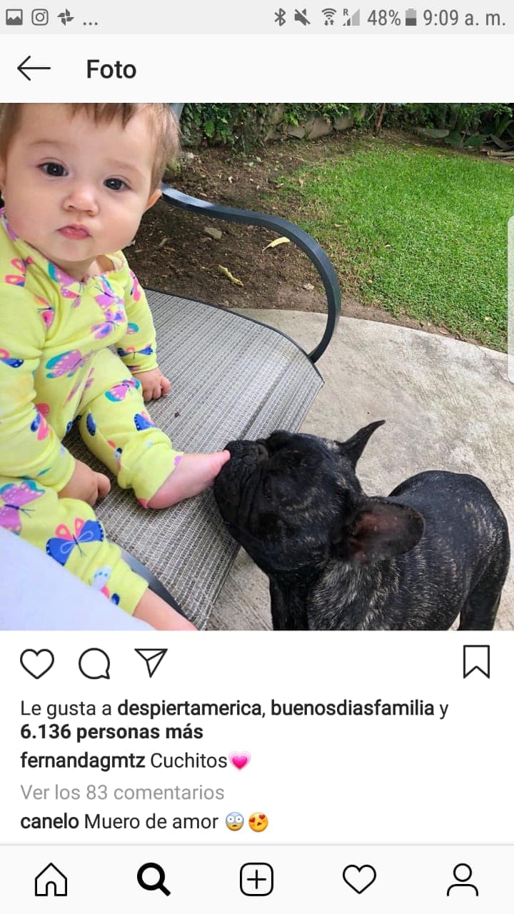 Antes de que confirmaran su regreso como pareja, ambos intercambiaban mensajes referentes a la pequeña Fernanda en redes sociales, donde 
<b>se mandaban besos y corazones. </b>