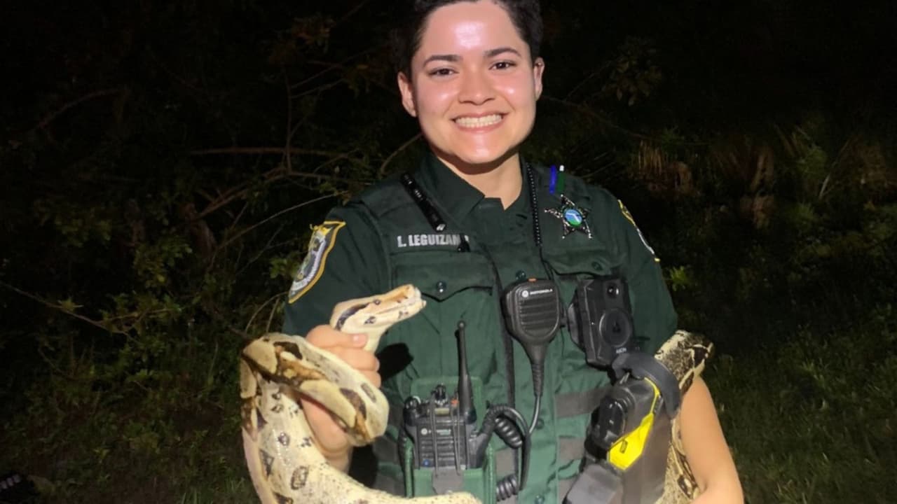 Oficial de Seminole captura a boa constrictor que rondaba por el condado