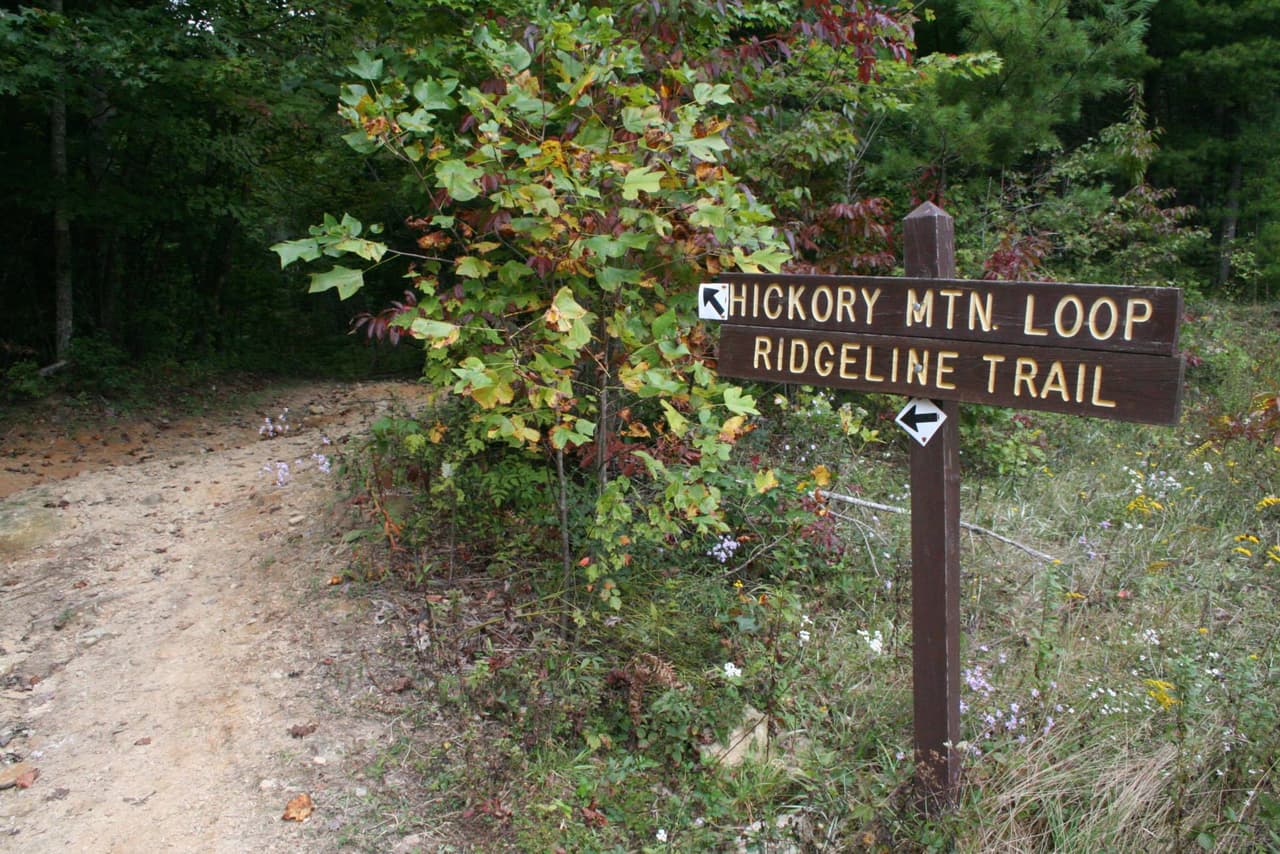 <b>DuPont State Recreational Forest (Cedar Mountain)</b>: 
<br>
<b>Sitio web</b>: 
<a href="https://www.dupontstaterecreationalforest.com/">https://www.dupontstaterecreationalforest.com/</a> 
<br>
<a href="https://maps.app.goo.gl/nm5uE2tRB41RuoGM7"><b>Cómo llegar</b></a>
<b> </b>
<br>
<br>El bosque estatal DuPont cuenta con cascadas, lagos de montaña y senderos pintorescos. Está ubicado en el oeste de Carolina del Norte, cerca de la frontera estatal con Carolina del Sur. Los visitantes podrán explorar 86 millas de senderos en el bosque de 10,000 acres.