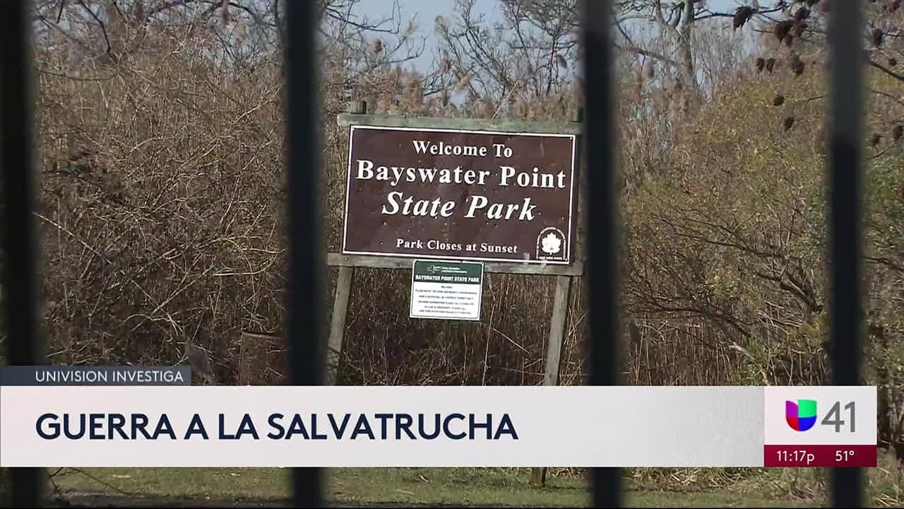 Mara Salvatrucha: la ironía de los niños inmigrantes que huyen de las pandillas, para luego encontrarlas en Nueva York 