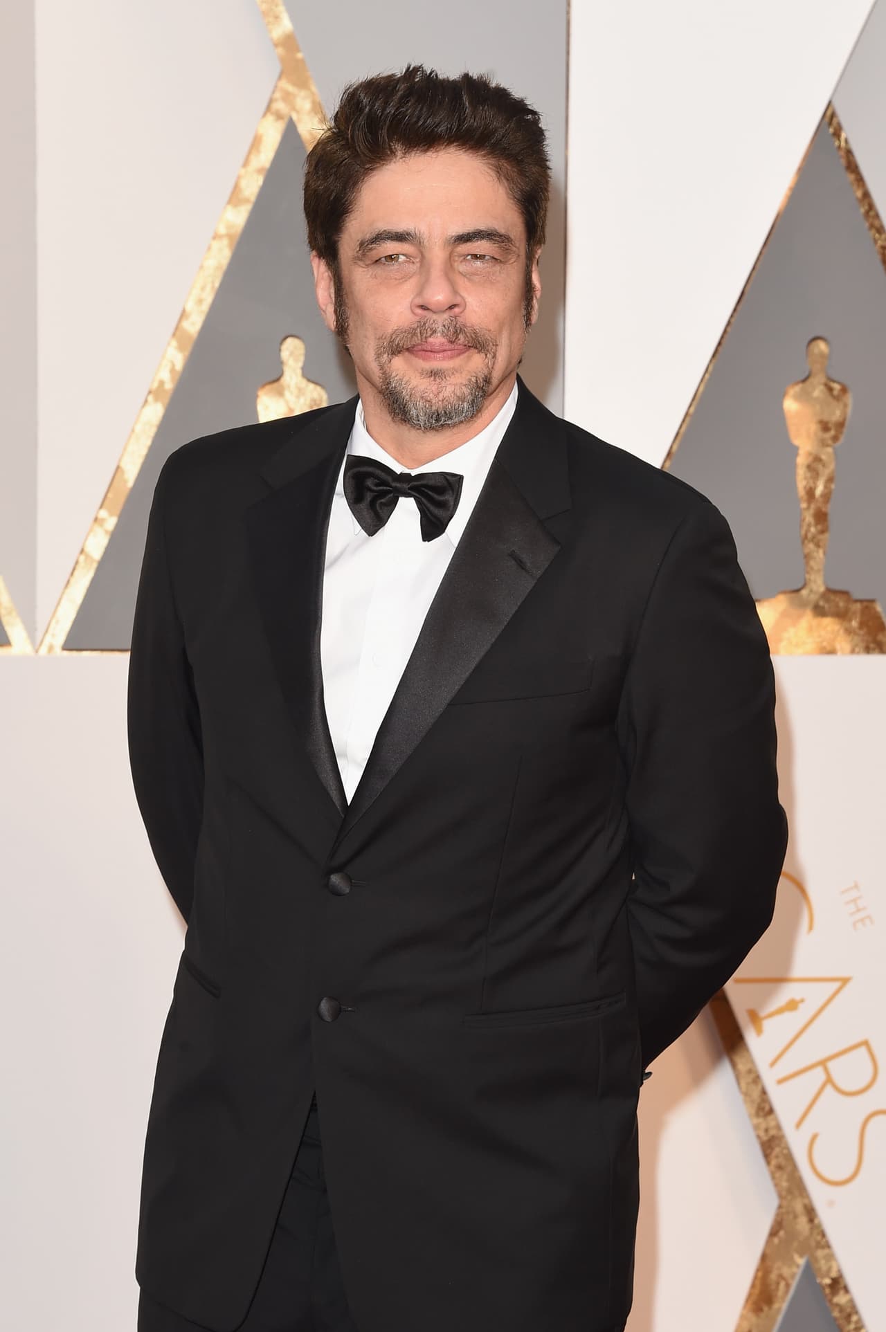 Benicio del Toro de lo más elegante.
