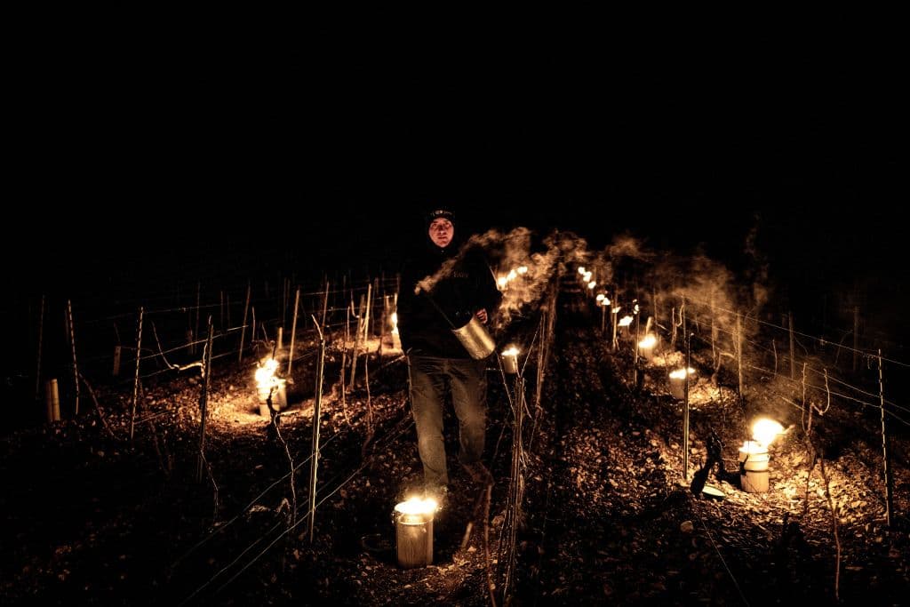 Unas 
<b>10,000 hogueras</b> fueron encendidas la noche del miércoles (7 de abril) para el jueves (8 de abril) por 
<b>viticultores franceses para combatir las intensas heladas nocturnas</b> que se han presentado en los últimos días de hasta 23 grados Fahrenheit.