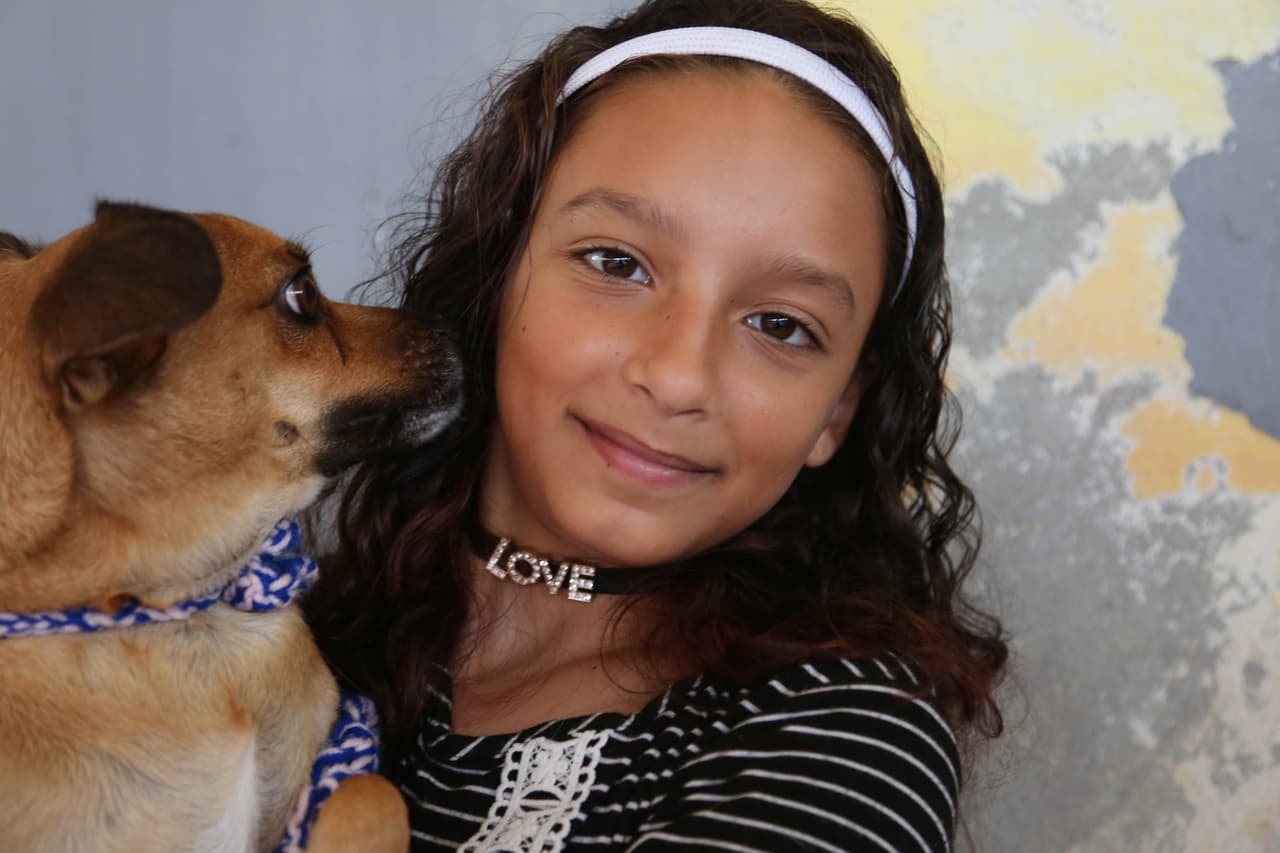 La mejor forma de prevenir la enfermedad es vacunando a las mascotas, no estar fuera descalzos, proteger sus piernas, usar guantes y siempre mantener áreas limpias y desinfectadas