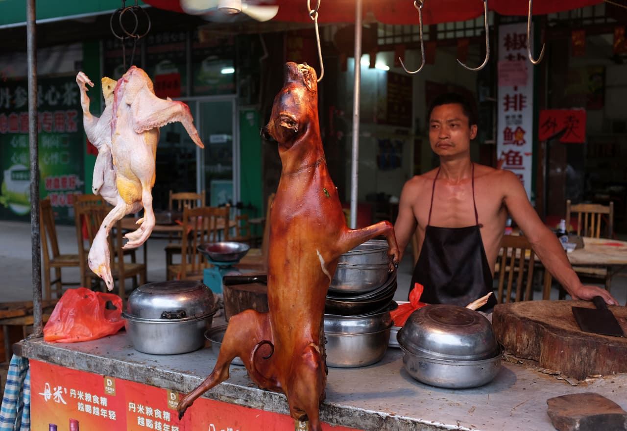 Aunque
<b>comer perro no está prohibido en China</b>, el festival Yulin puede ser detenido también si se aplican las actuales leyes que prohíben el transporte masivo de animales vivos sin tener antes una cuarentena de laboratorio.