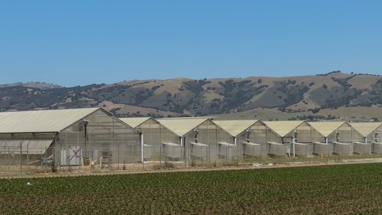 Un nuevo centro de detención podría construirse en un terreno agrícola de Gilroy: Esto es lo que se sabe