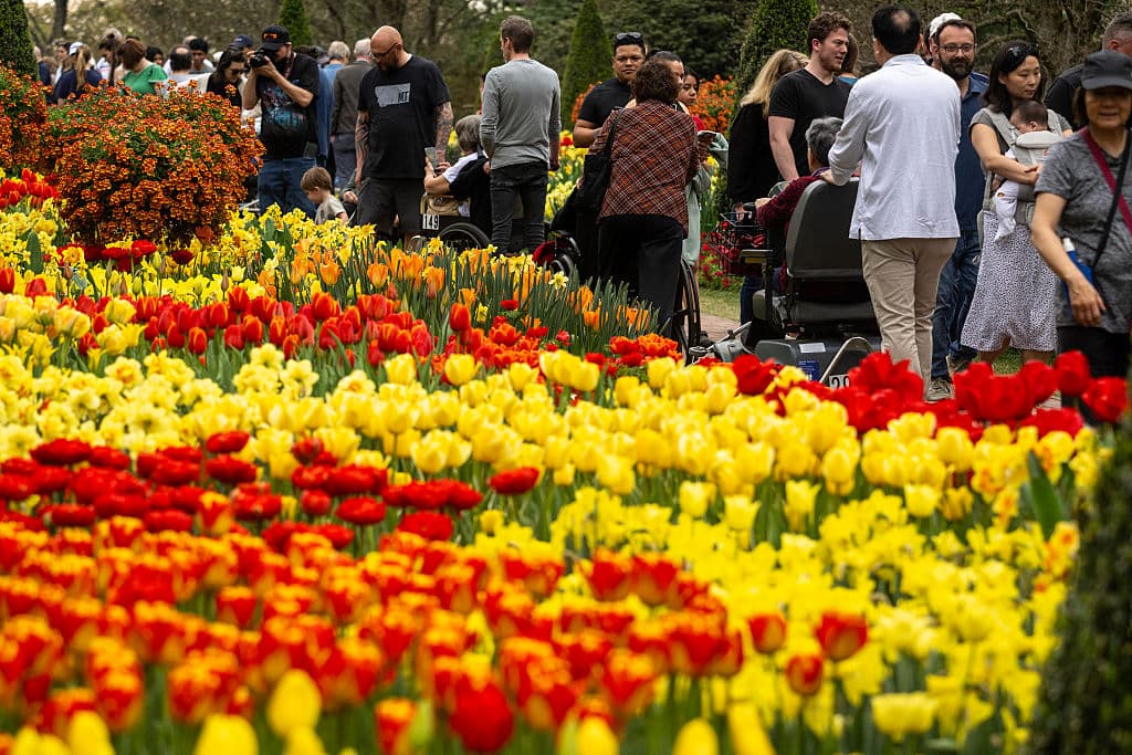 La entrada a Longwood Gardens tiene un costo para toda persona mayor de 4 años. Además, para días feriados se recomienda comprar los boletos por adelantado, para evitar llegar y que esté lleno.
