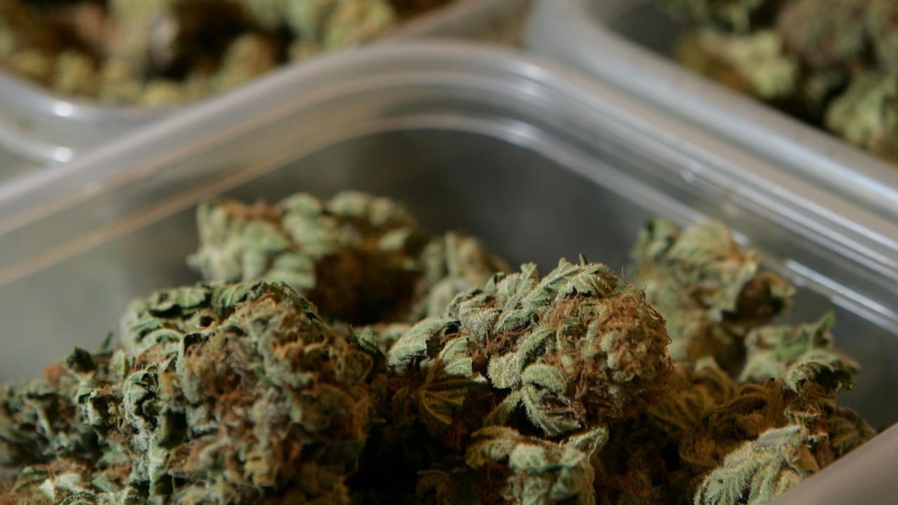 México aprueba 38 productos elaborados a base de derivados de marihuana