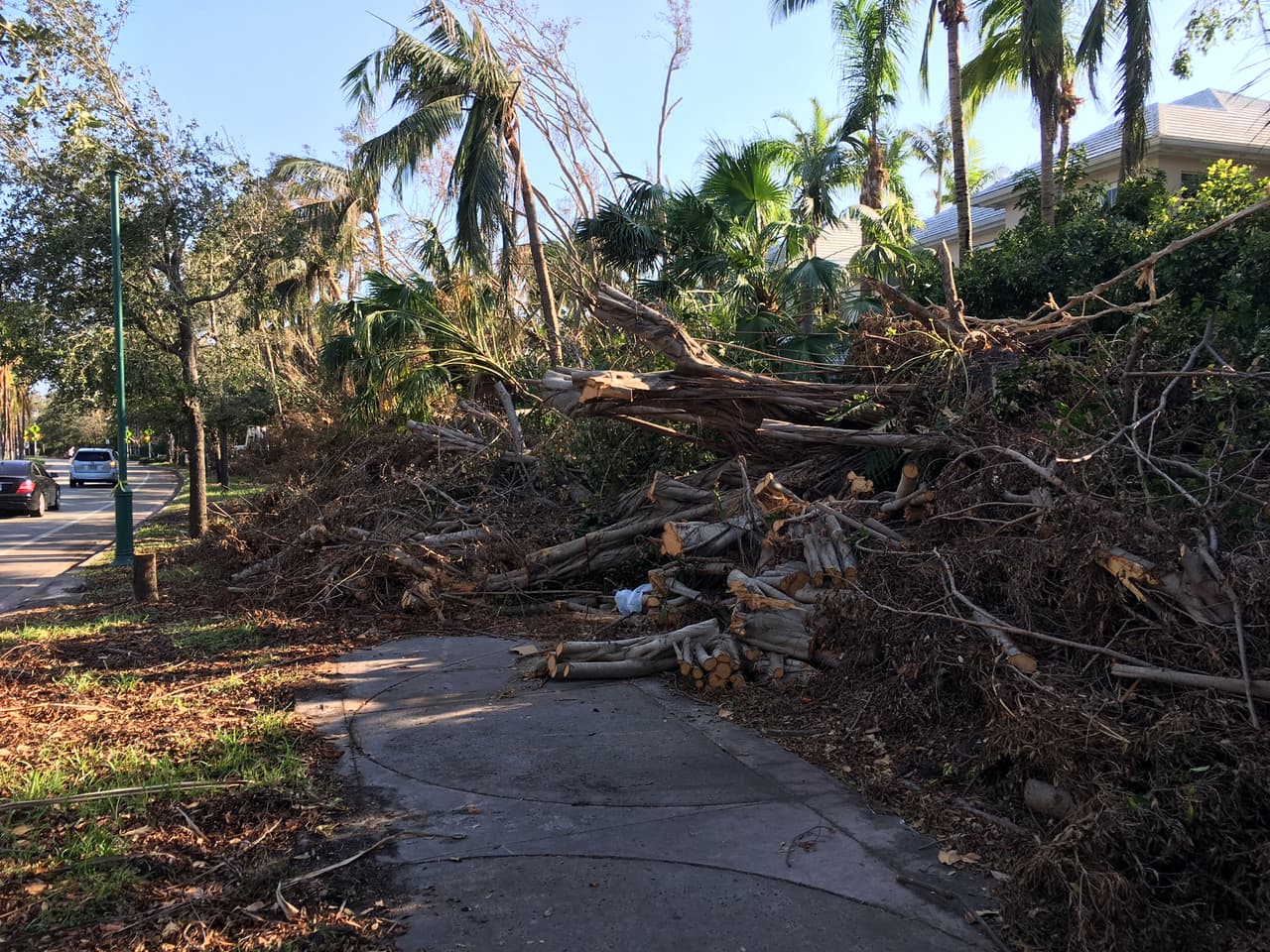 Algunas aceras quedaron completamente bloqueadas por los restos de Irma.