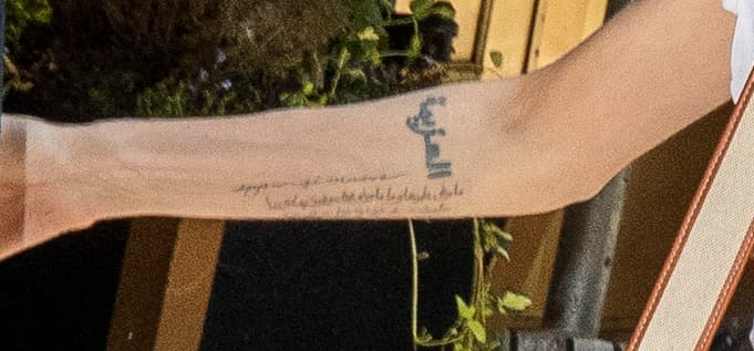 En cuanto fue advertida por la prensa de espectáculos se comenzó a especular que su significado podría estar relacionado con Brad Pitt.