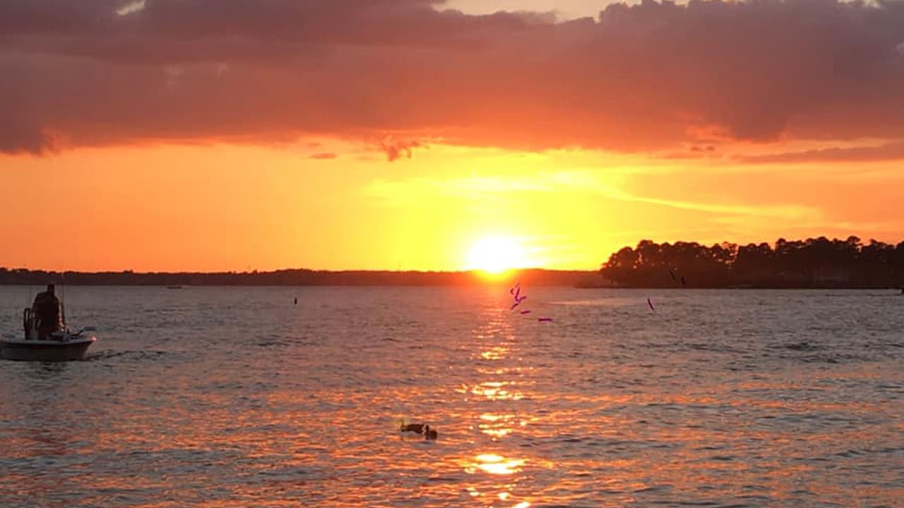 Desde lago de Conroe, Texas nos envía esta foto Elvira Campos.