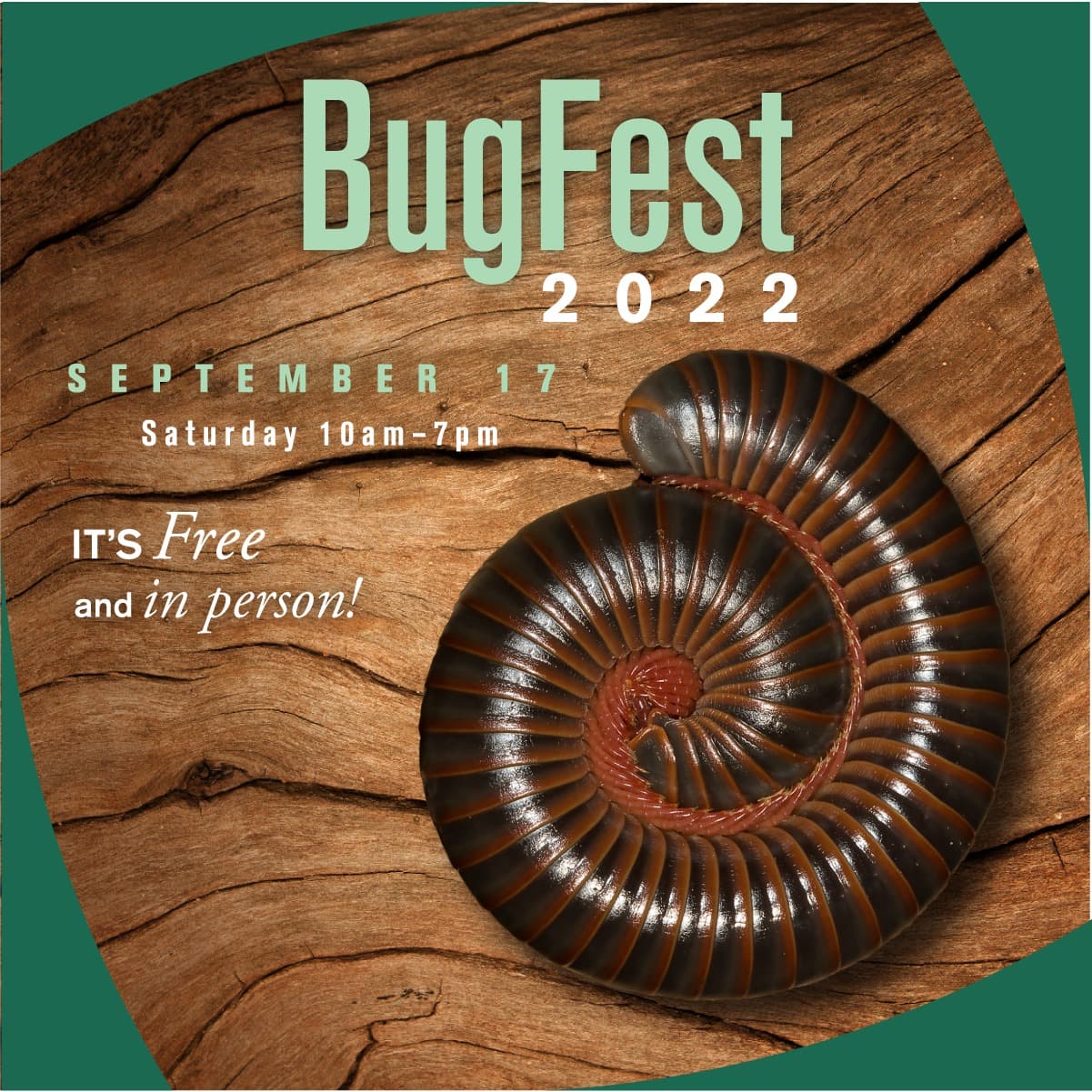<b><a href="https://naturalsciences.org/calendar/bugfest/">BugFest (17 de septiembre)</a>. </b>Experimenta más de 100 exhibiciones, artesanías, juegos y actividades en BugFest, el evento anual del Museo de Ciencias Naturales de Carolina del Norte que te permite interactuar con entomólogos y otros científicos mientras aprendes sobre el fascinante mundo de los insectos.