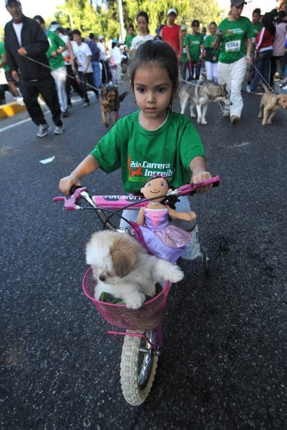 La carrera se realiza para la obtención de fondos que yuden a la Asociación de Mascotas Terapéuticas.