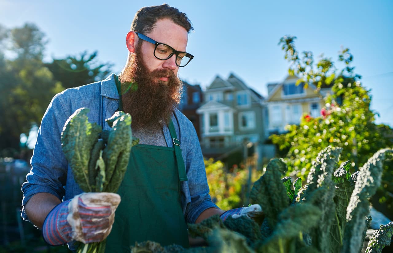Buscan apoyos federales para los huertos urbanos
