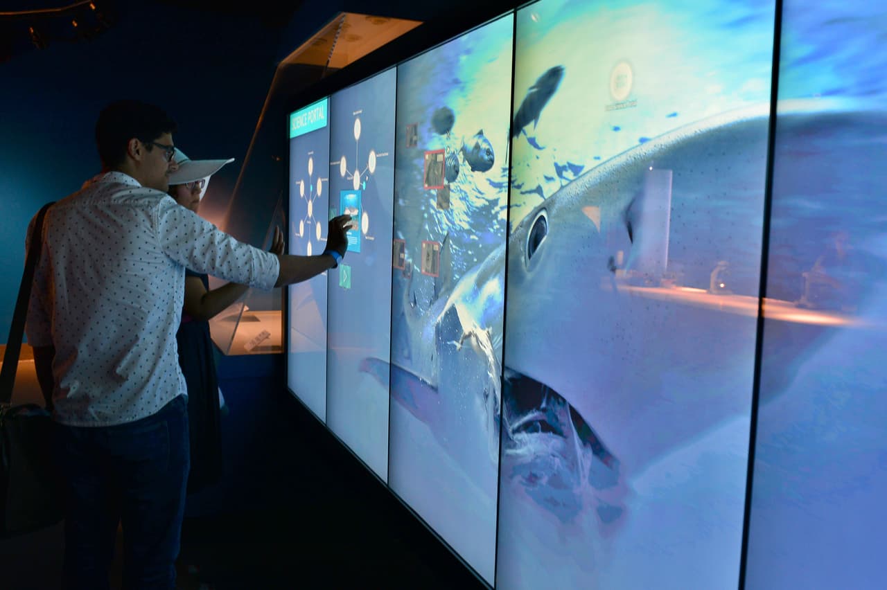 Además, pretende plasmar el hábitat natural de los arrecifes coralinos de la costa de Florida y de todos los ecosistemas presentes en el estado. Las especies que por motivos de conservación no quieren tener en cautividad, las muestran a través de pantallas interactivas.