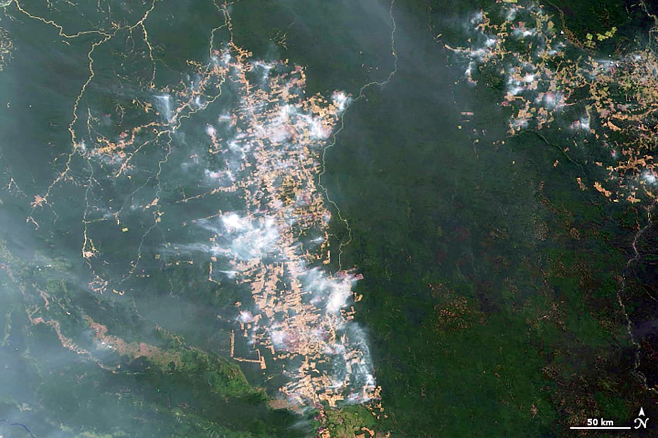 Los fuegos activos cerca de Novo Progresso, en el estado brasileño de Pará. Esta ciudad está ubicada a lo largo de la carretera BR-163, una vía recta norte-sur que conecta a los agricultores con un puerto en el río Amazonas desde donde sus productos pueden ser llevados al océano. Los incendios forestales en todo Brasil han alcanzado el nivel más alto desde 2013 y se han contabilizado unos 78,383 incendios en lo que va del año, casi la mitad de ellos solo en agosto.