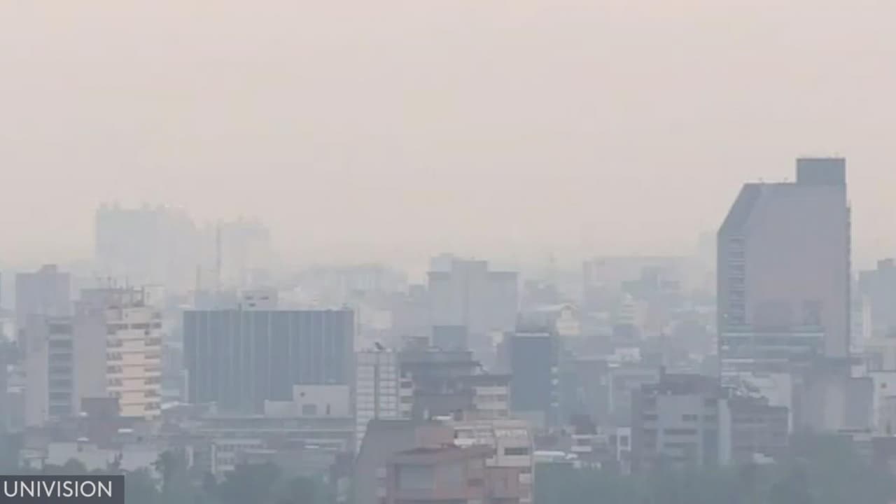 Cómo afecta la mala calidad del aire nuestras actividades diarias