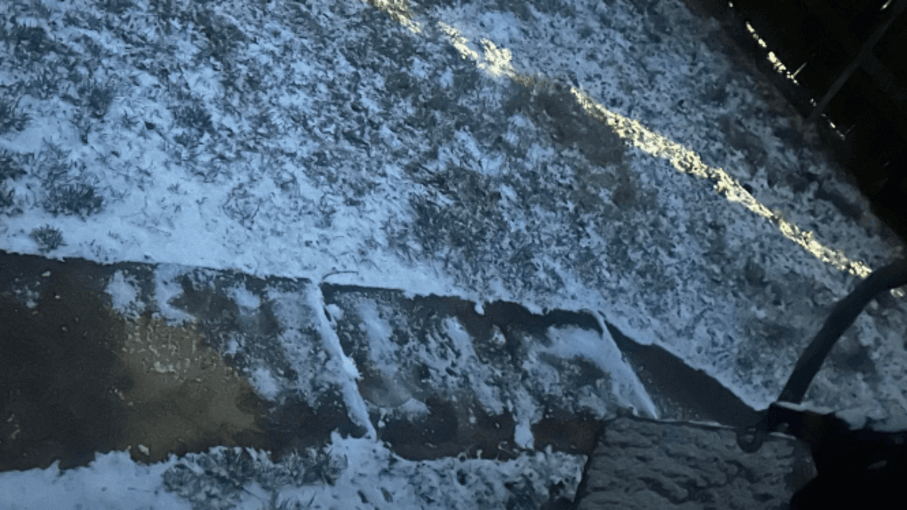 Por ejemplo, esta imagen nos la compartió nuestro televidente Juan Morales, y muestra la caída de nieve en Hyattsville.