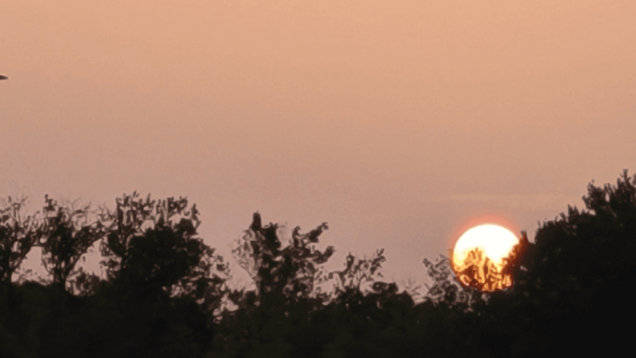 El polvo del Sahara trajo este atardecer inusual y colorido sobre el Metroplex.
<br>
<br>📍 Garland, Texas