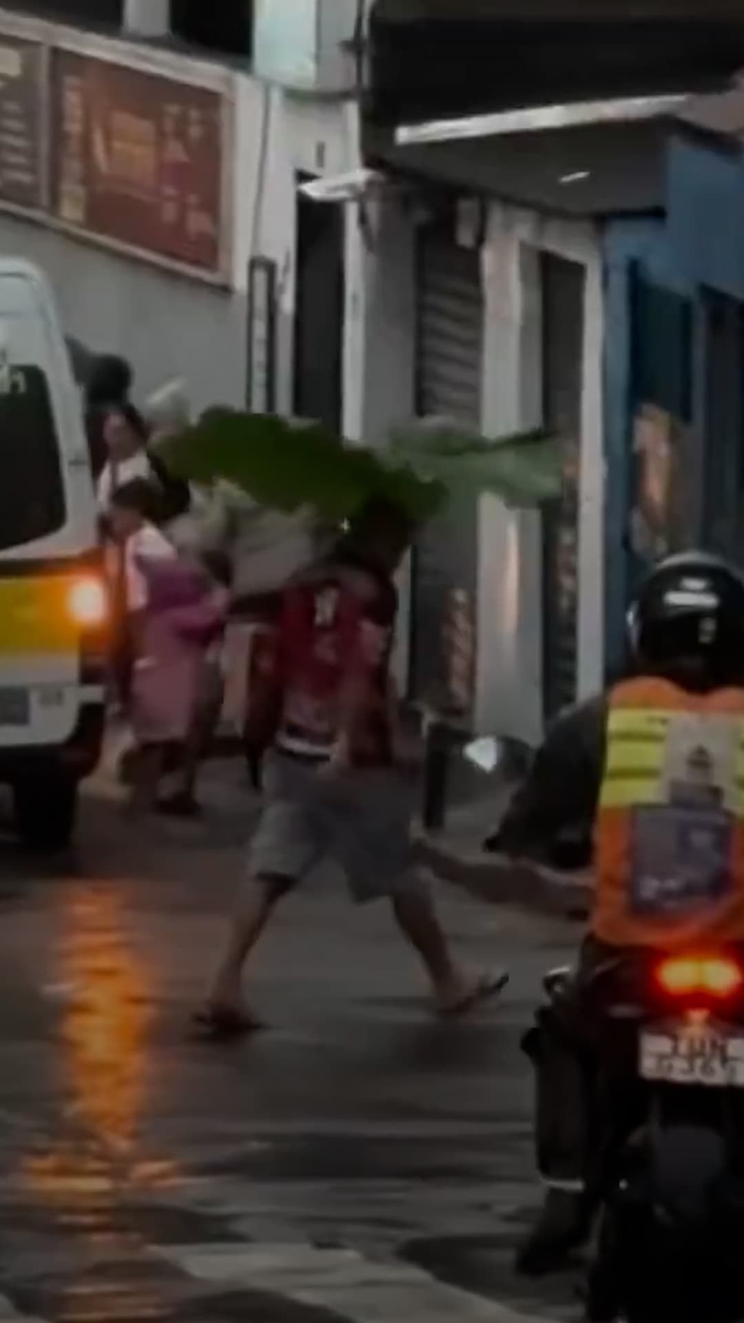 Improvisa un paraguas con una hoja gigante
