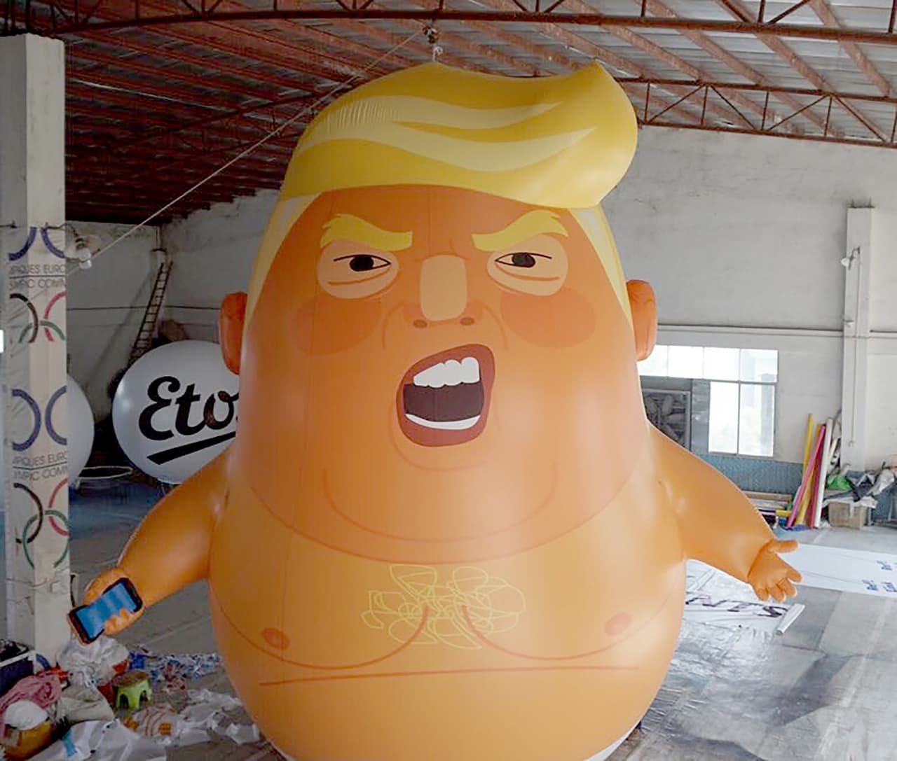 "Donald Trump es un bebé grande y enojado con un ego frágil y manos pequeñas. También es un demagogo racista peligroso para las mujeres, los inmigrantes y las minorías y una amenaza mortal para la paz mundial y el futuro de la vida en la tierra", aseguran los autores en la descripción del proyecto. "Cuando Trump visite el Reino Unido el viernes 13 de julio de este año, queremos asegurarnos de que sepa que toda Gran Bretaña lo desprecia y se ríe de él".