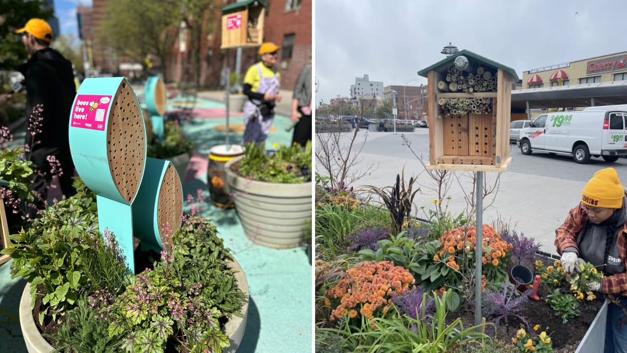 Nueva York estrena sus 'hoteles' para abejas en calles y parques de la Ciudad