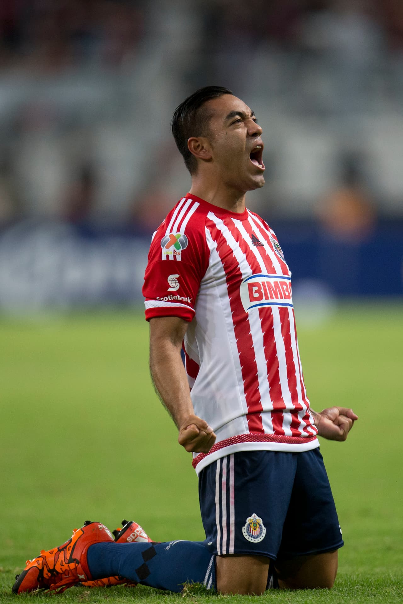Tras haber participado en 2 torneos con Chivas, el 18 de diciembre de 2015 se hace oficial su traspaso a las Águilas, pero de la Bundesliga.