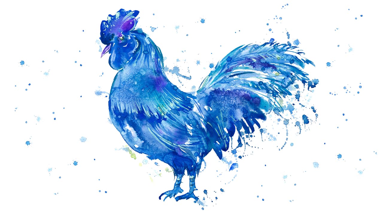 Es el mes en que termina el ciclo de Leo el día cúspide el 22 y23 y comienza a regir Virgo. También estamos bajo la égida del mono y del gallo en el horóscopo chino y en el que tendremos un hermoso plenilunio o luna llena en el signo de Acuario exactamente a mediados de agosto, el día 15.