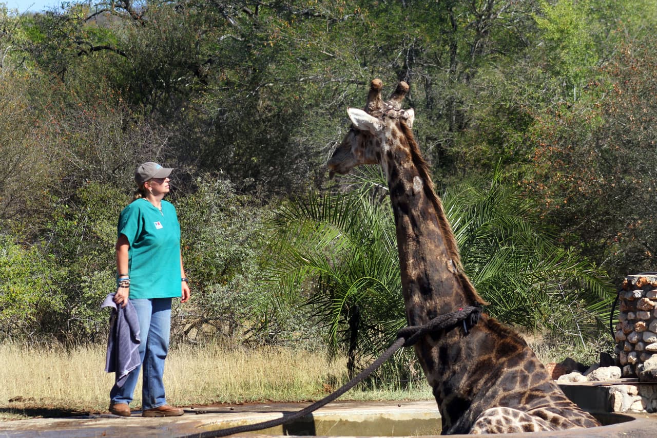 Es un milagro que no se rompiera una pierna o el cuello.