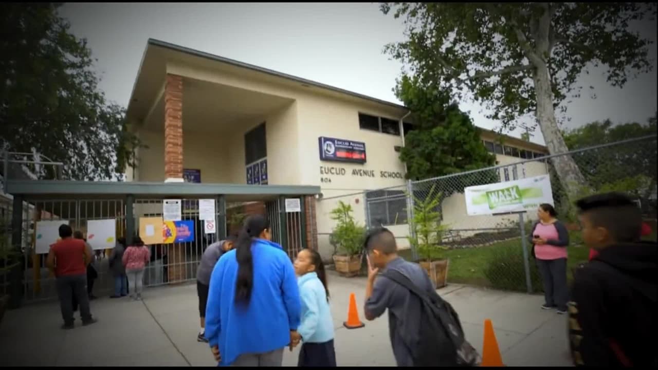  Cuenta Conmigo: participa en el censo 2020 