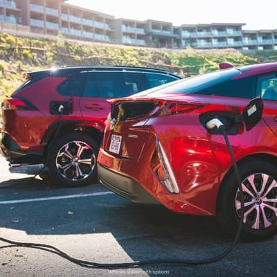 6) Un sistema educativo de renombre mundial. 7) Una sólida asociación entre el gobierno a nivel estatal y local.