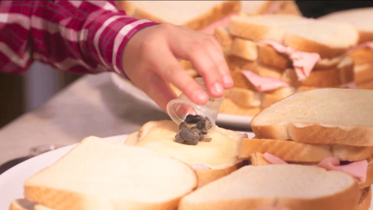 Moisés y Andrés le juegan una broma a Padilla | Monteverde | Capítulo 42