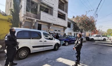 Tortugas, cocodrilos y guacamayas: autoridades hallan 15,000 animales hacinados dentro de dos casas en la Ciudad de México