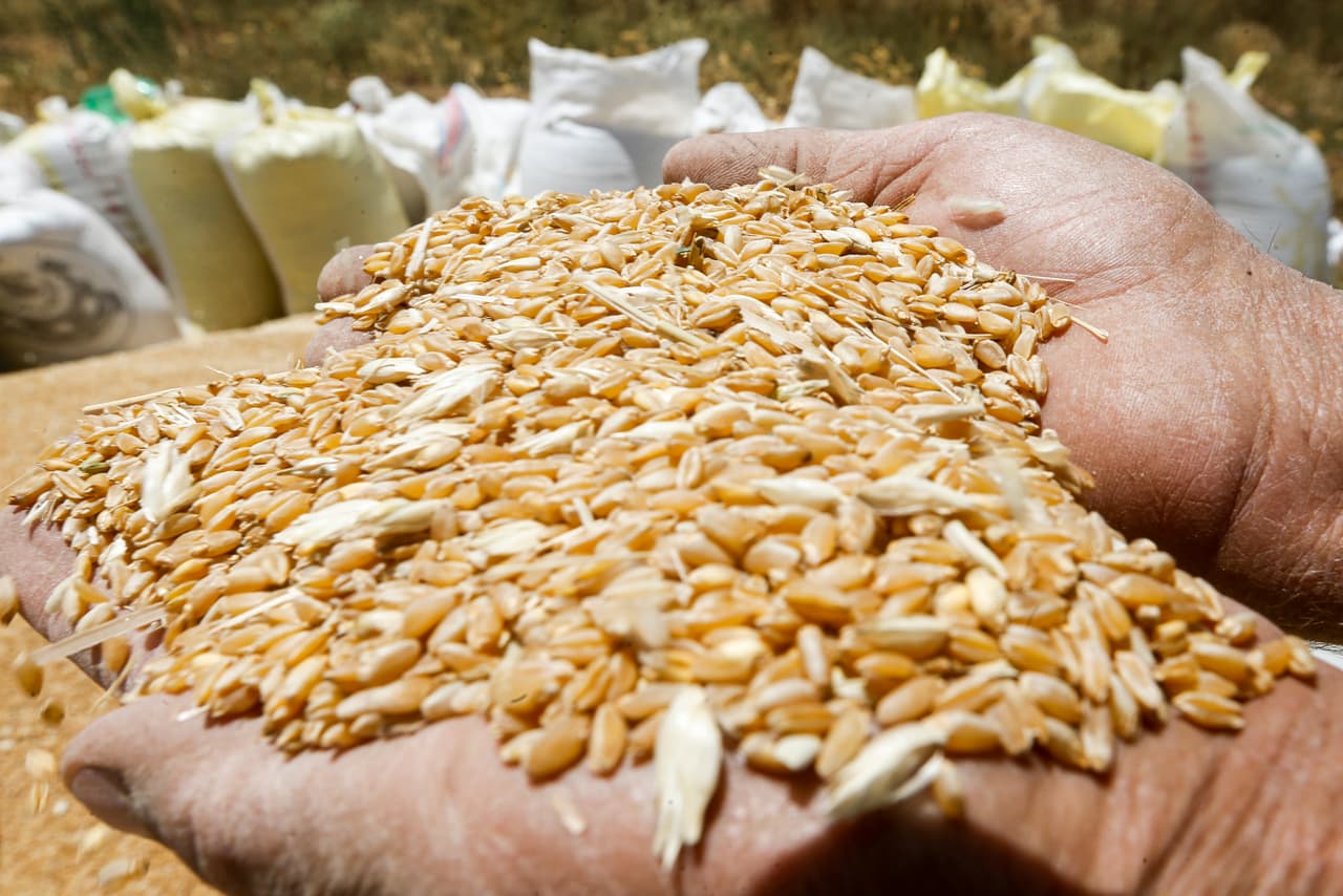 Es posible que usted pueda traer alimentos como frutas, carnes u otros productos agrícolas dependiendo de la región o país desde el que viaja. Se aplican restricciones a estos productos para proteger la salud de la comunidad, preservar el medio ambiente y prevenir la introducción de enfermedades devastadoras en plantas y animales domésticos. Vea esta guía.