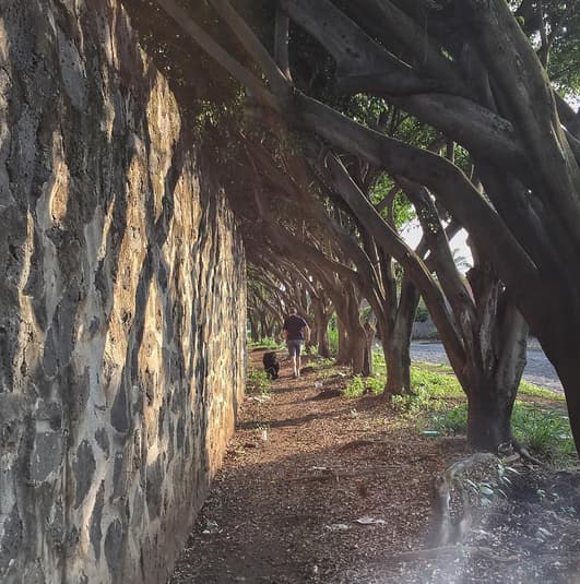 Angelique Boyer subió una foto de su papá en su cuenta de Instagram que enseguida recibió miles de ´likes´.